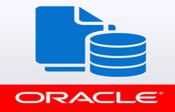 Oracle数据库管理工具有哪些?-北京乐动线上平台,乐动（中国）公司