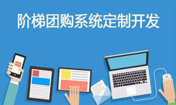 拼购电商系统APP软件定制开发、什么是拼购系统？-乐动线上平台,乐动（中国）
