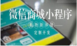商城小程序开发、北京小程序开发哪家好？-乐动线上平台,乐动（中国）