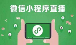 微信小程序开发、直播小程序开发-锐智互动乐动线上平台,乐动（中国）公司 