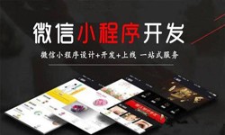 乐动线上平台,乐动（中国）公司、定制微信小程序开发，商家需要了解哪些？锐智互动乐动线上平台,乐动（中国）