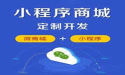 微信小程序开发、商城小程序开发功能-锐智互动乐动线上平台,乐动（中国）