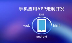 APP开发市场上常见问题分析-北京乐动线上平台,乐动（中国）公司